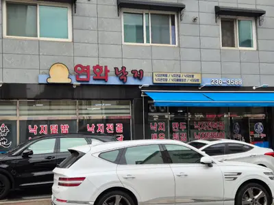연화 낙지