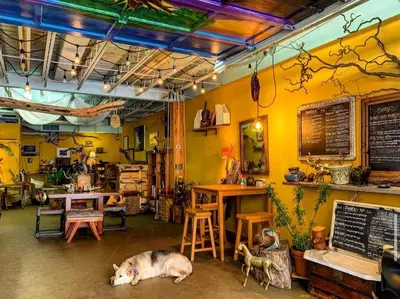 Roots Café