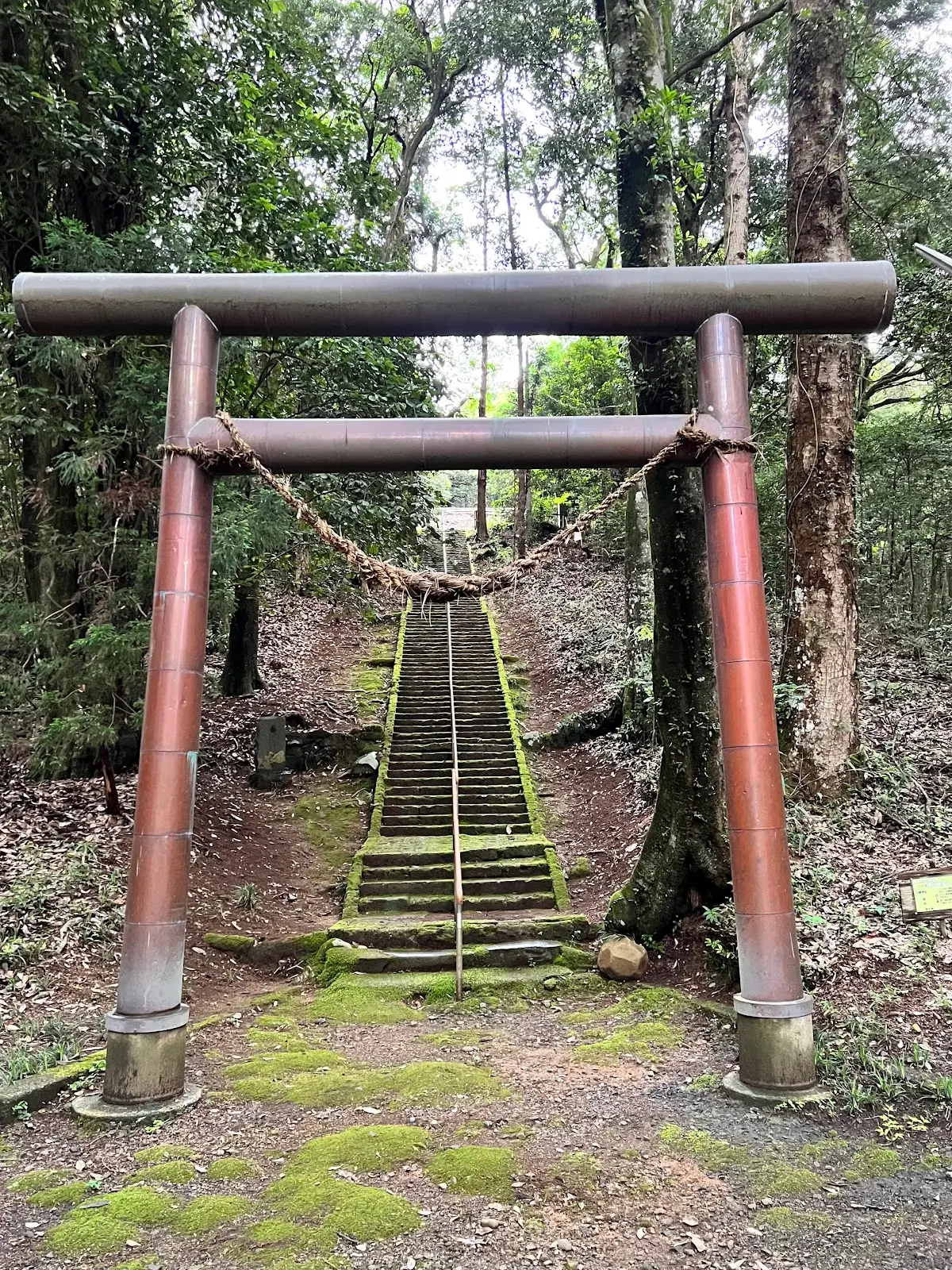 綱神社 栃木県芳賀郡益子町上大羽2350