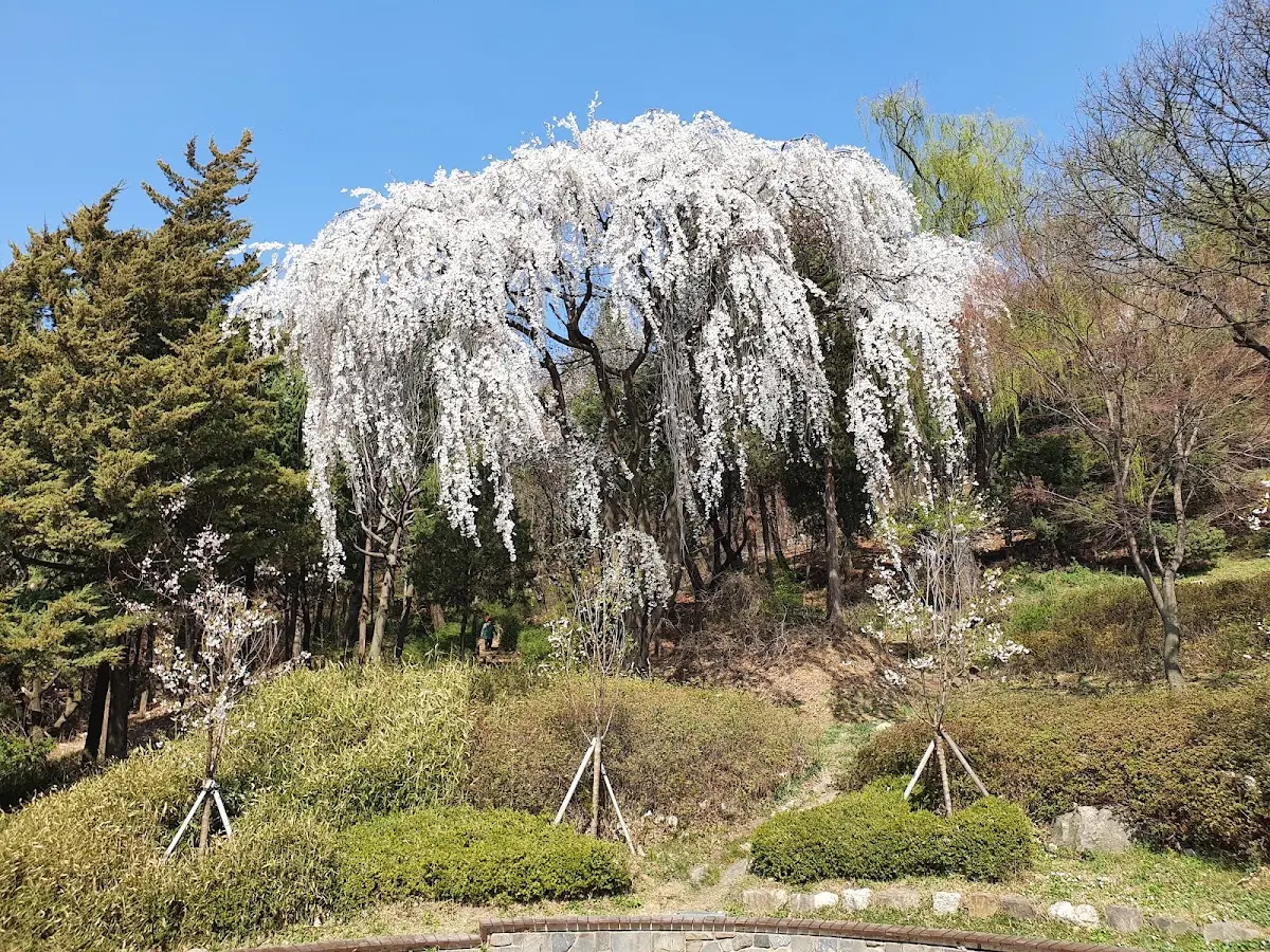 연희숲속쉼터 서울 서대문구 연희동 2-75