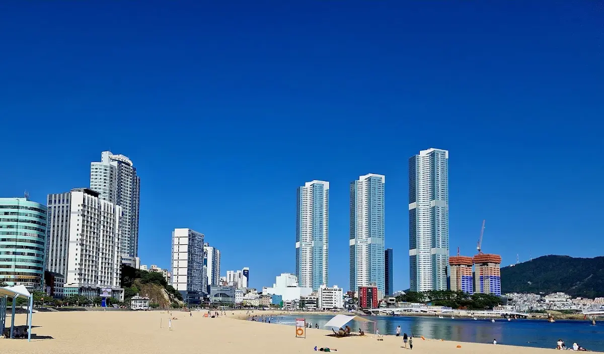 송도해수욕장 부산 서구 송도해변로 100