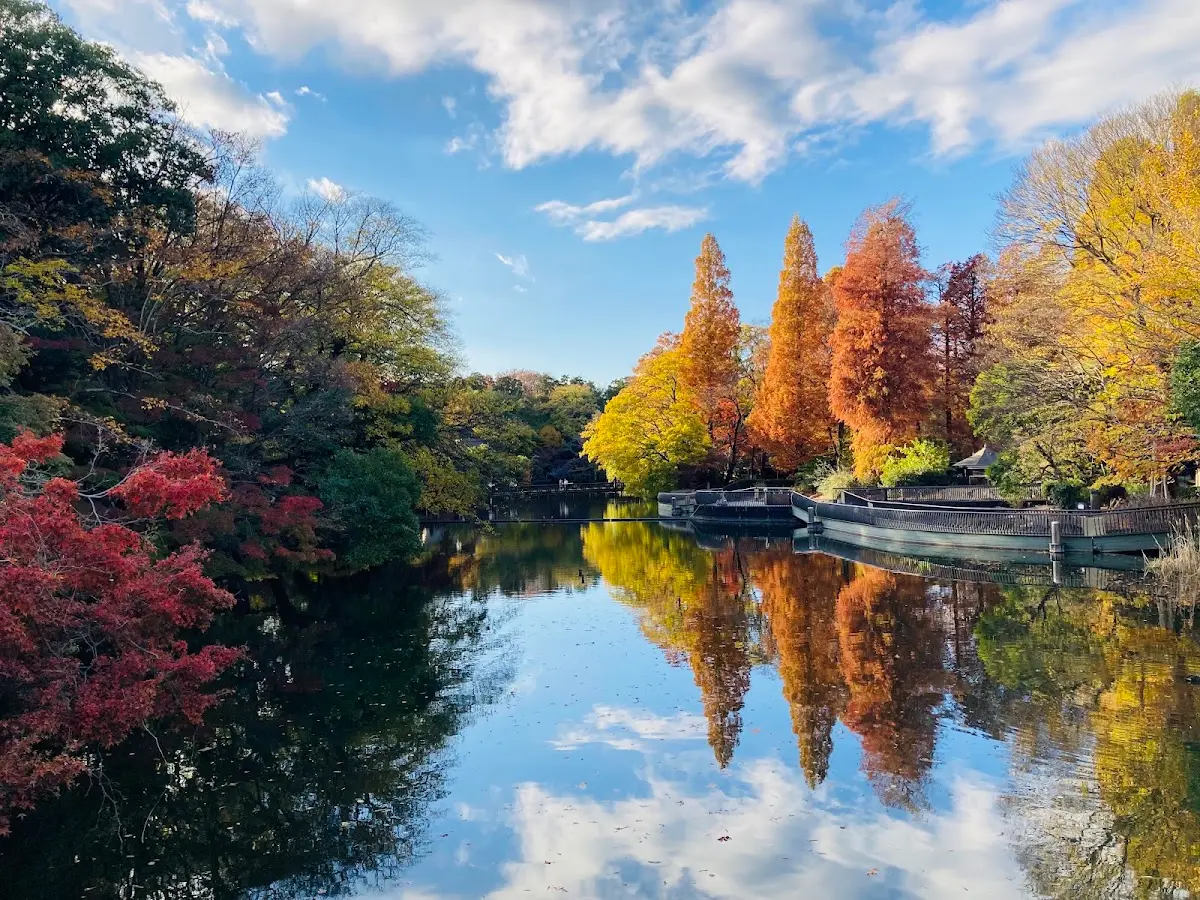 井の頭恩賜公園 東京都武蔵野市御殿山