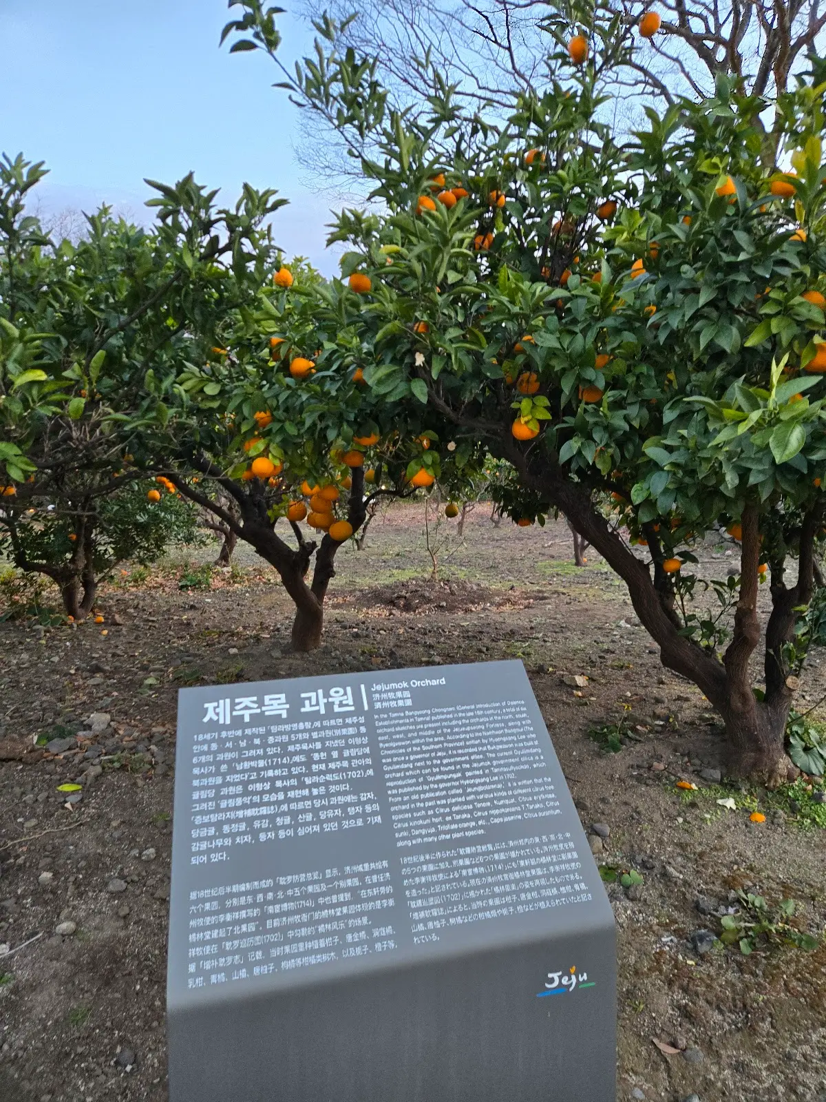 제주목 관아 제주시 관덕로 25