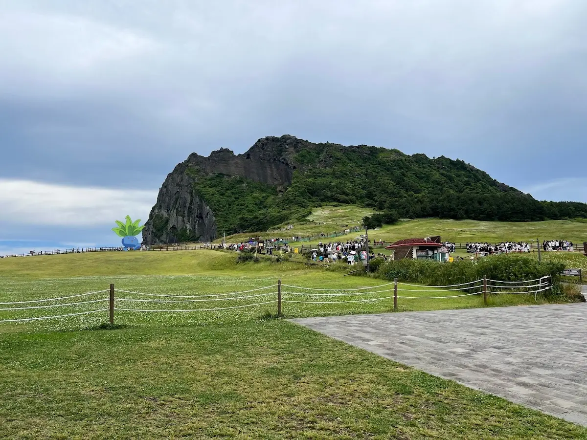 성산일출봉 제주특별자치도 서귀포시 성산읍 일출로 284-12