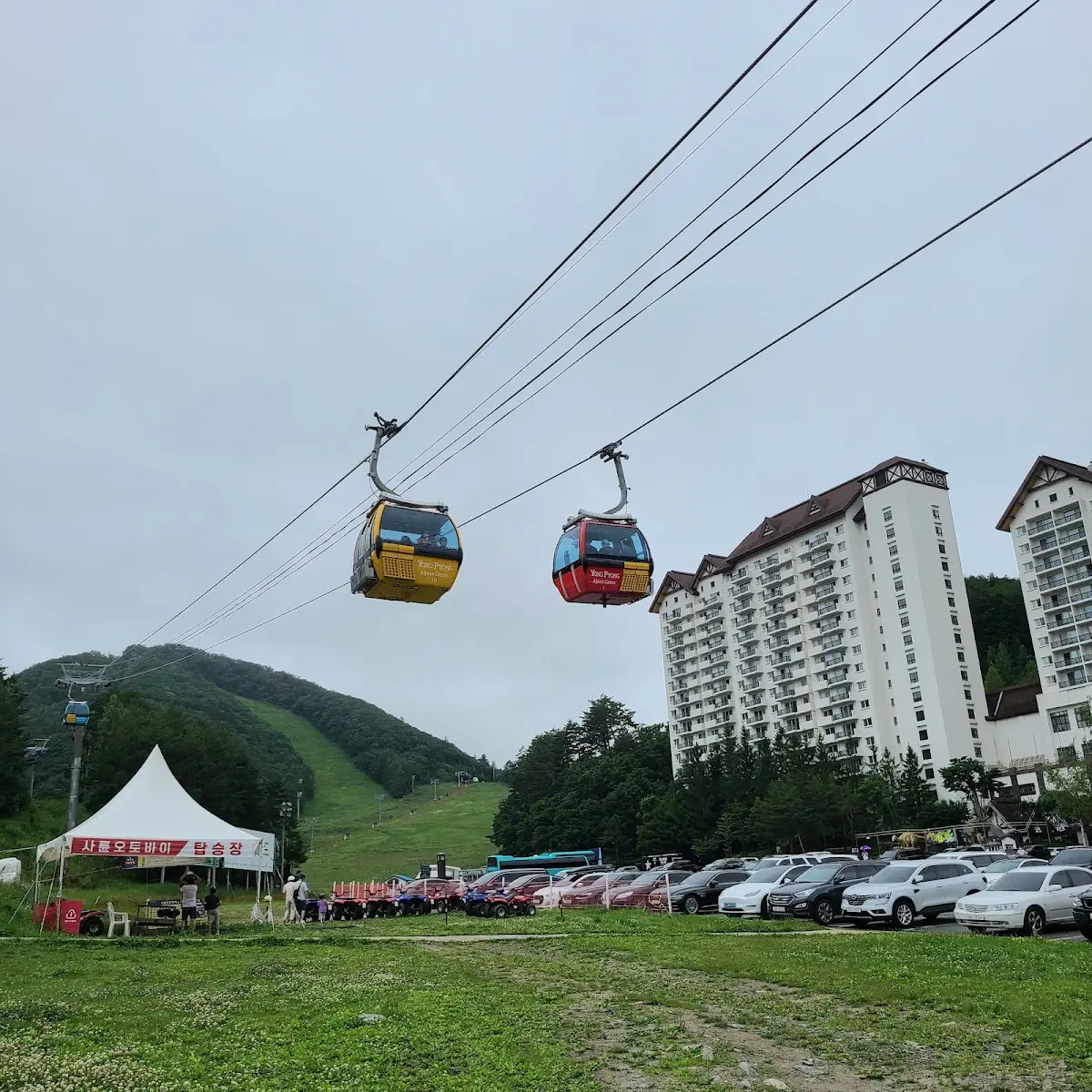 용평리조트 강원 평창군 대관령면
