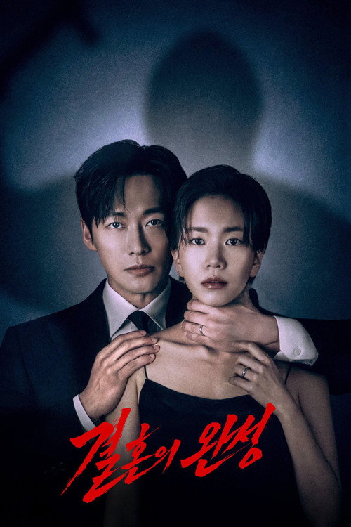 Poster of The Completion of Marriage