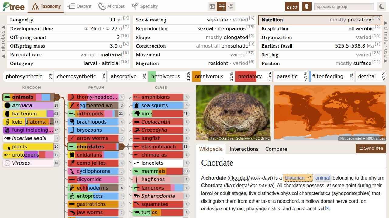 Interactive Tree of Life 1