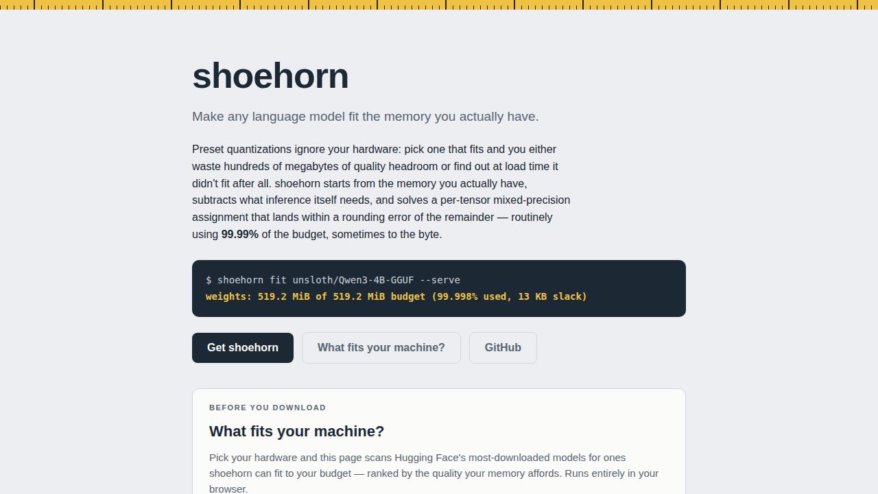 Shoehorn 1