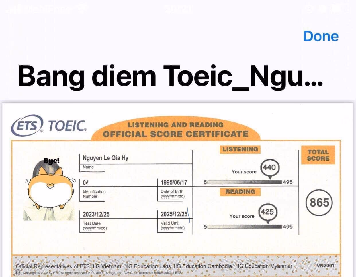 GIA HY score certificate