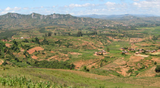 MapSwipe Madagascar 13