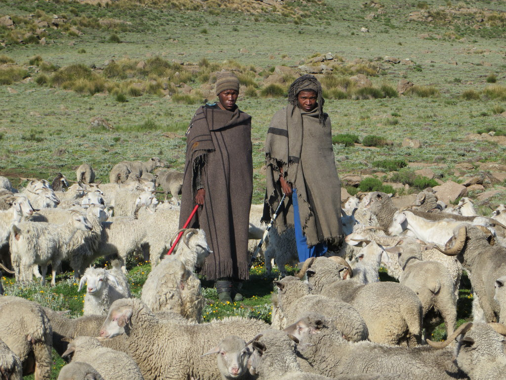 Locating isolated herders (9)