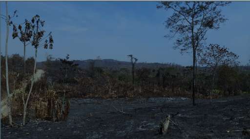 Wildfire 2024 - Belize (2)