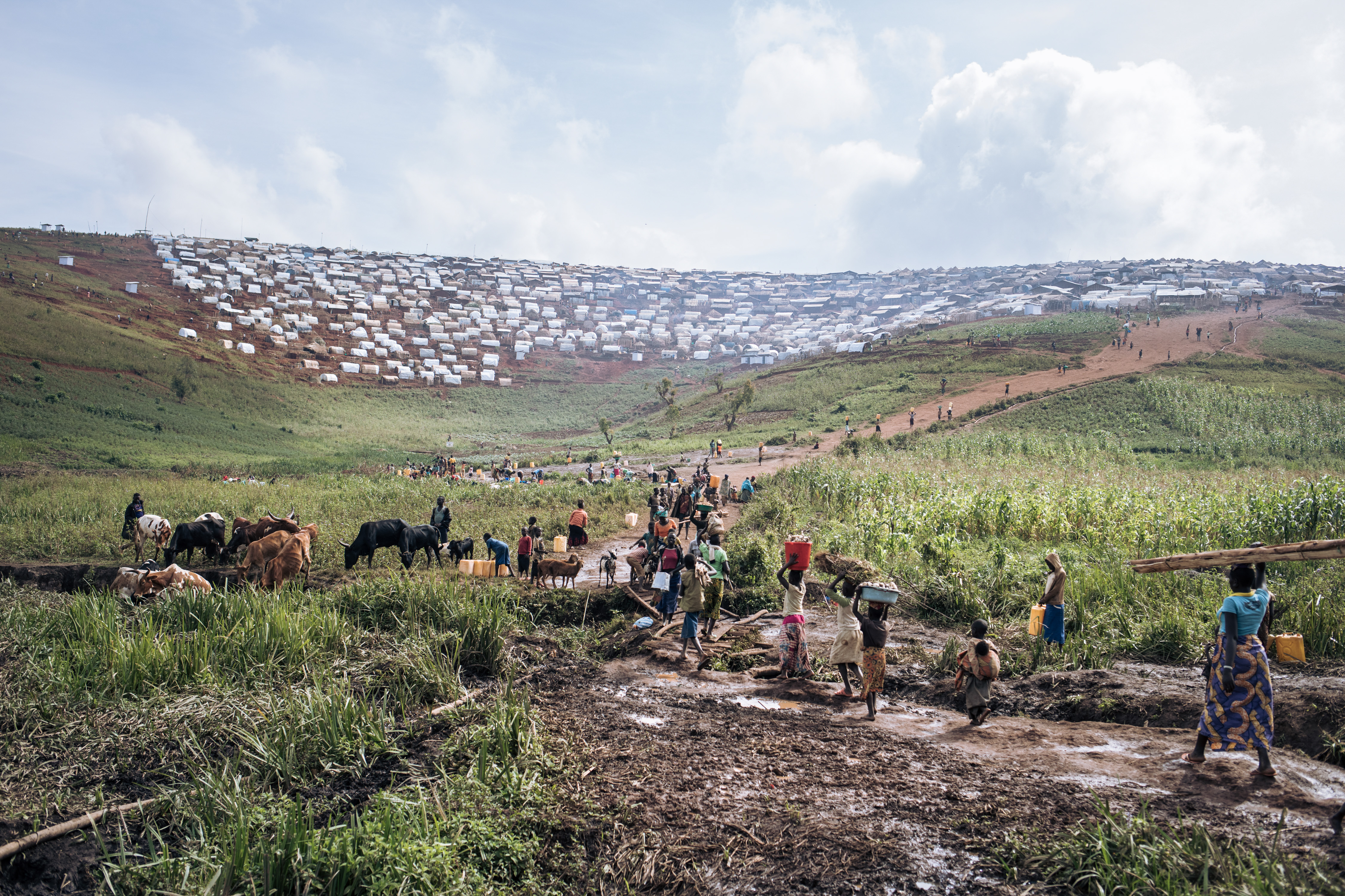 Public Health in Rutshuru (5)