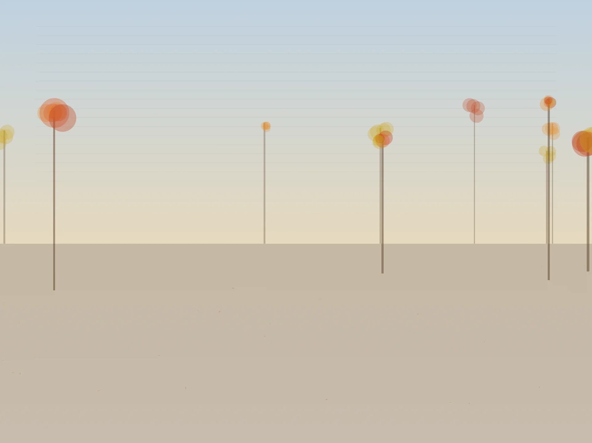 Autumn Forest