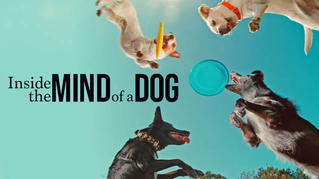 Inside The Mind of A Dog (2024) (Hindi Dubbed)