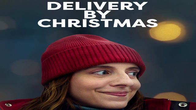 Delivery By Christmas (2022) Hindi Dubbed Full Movie Download 480p 720p 1080p HDRip ORG (Dual Audio) Free