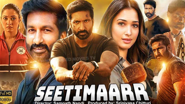 Seetimaarr (2021) Hindi Full Movie Download BluRay 720p 1080p 480p Free