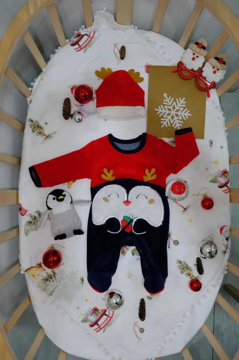 Penguen Şapkalı Kışlık Bebek Tulum