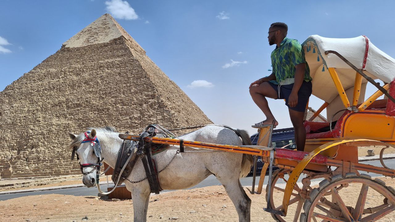 Me Pyramid Horse
