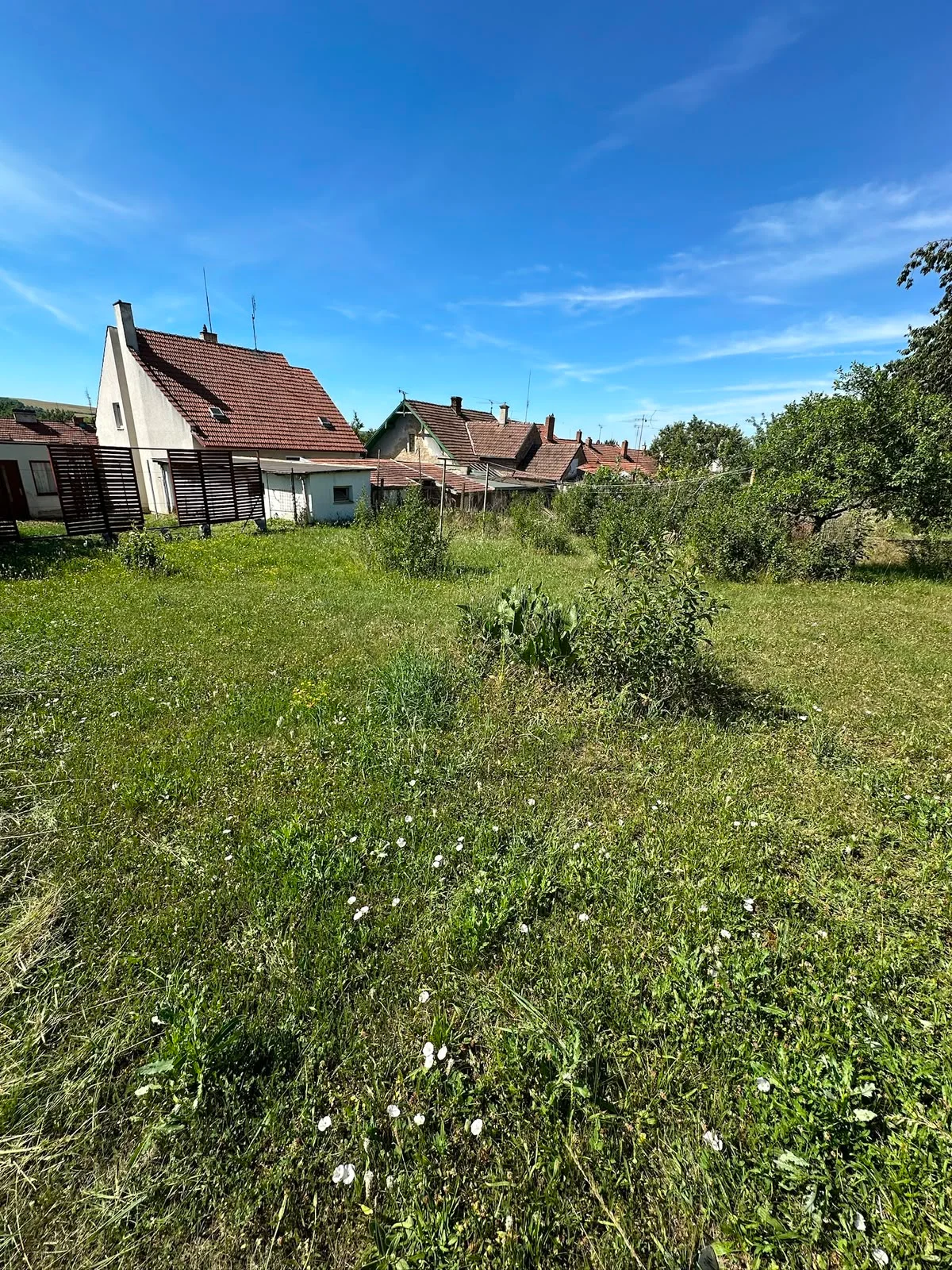 Zahrada v Rousínově, ul. Čechyňská — zahradnické služby, stav před úklidem (4)