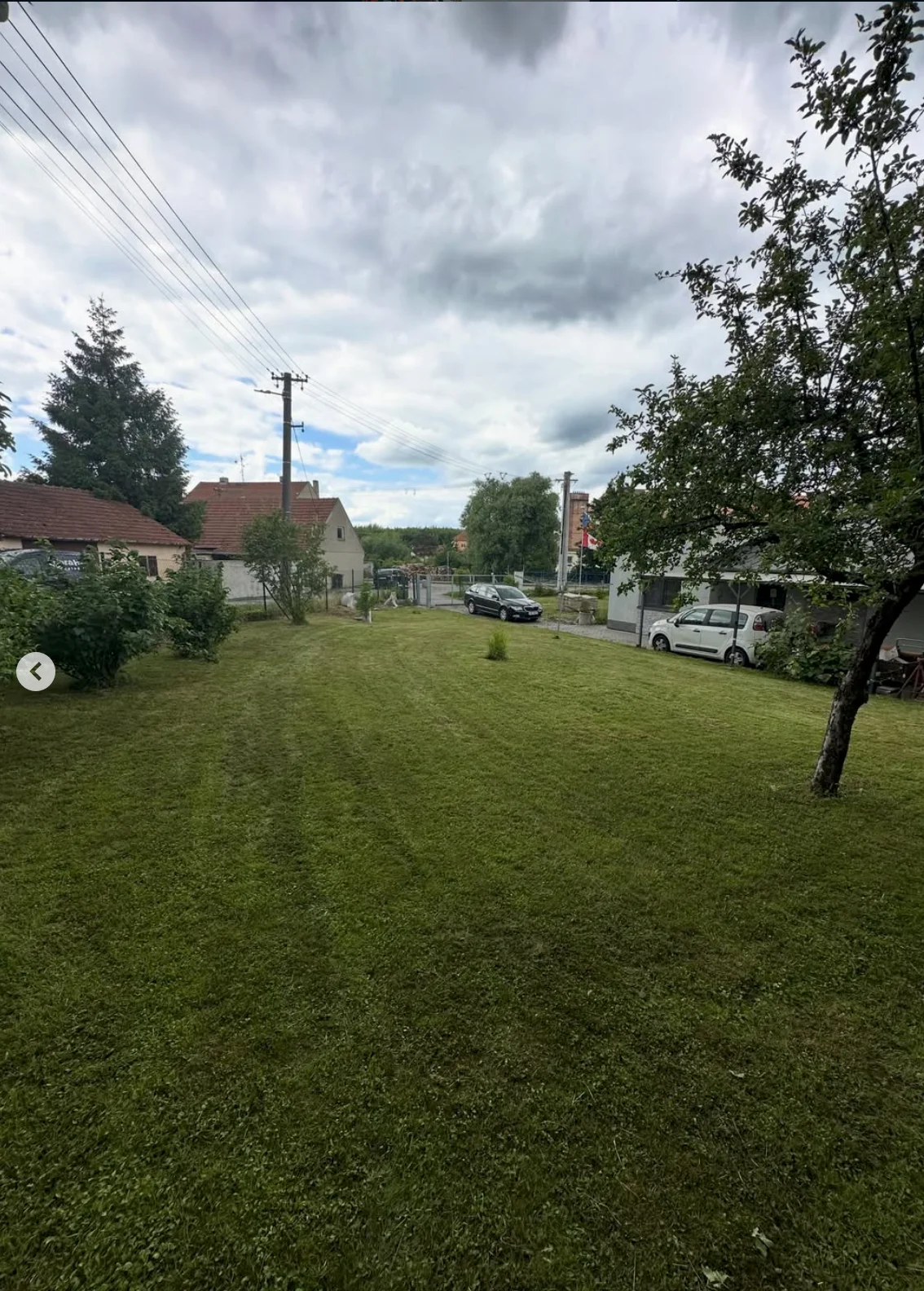 Zahradnické služby Královopolské Vážany — posečený trávník a mulčovací kůra kolem malin a rybízu (1)
