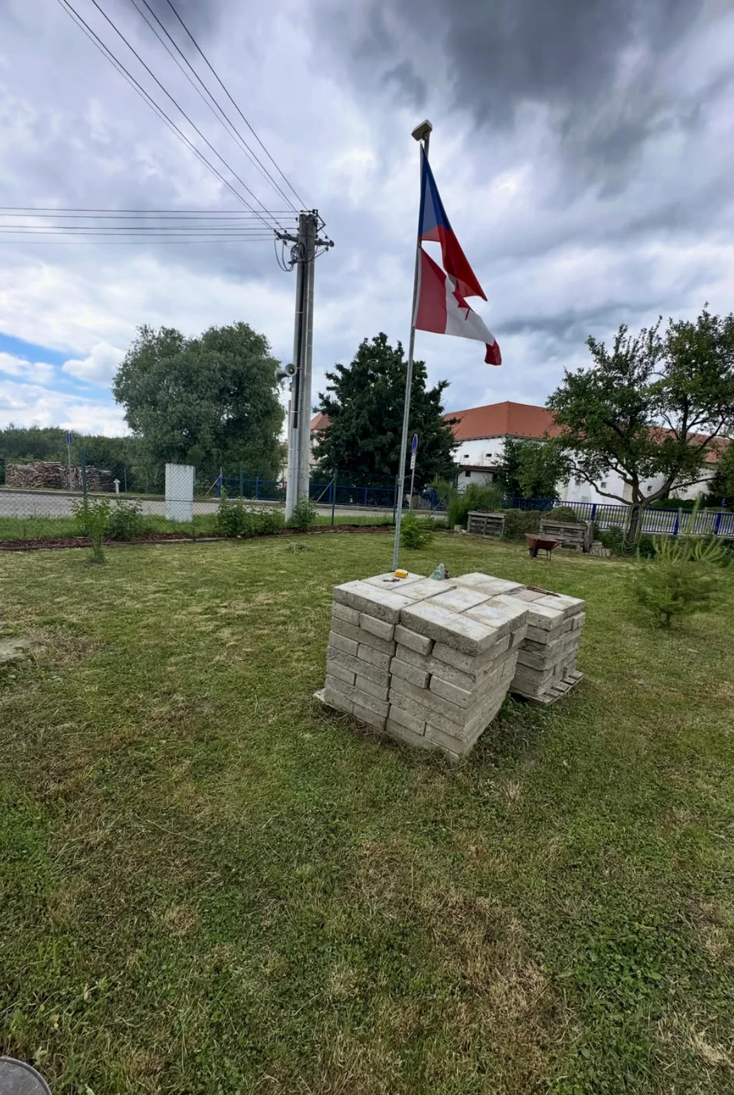 Zahradnické služby Královopolské Vážany — mulčování kolem ovocných keřů a posečený trávník