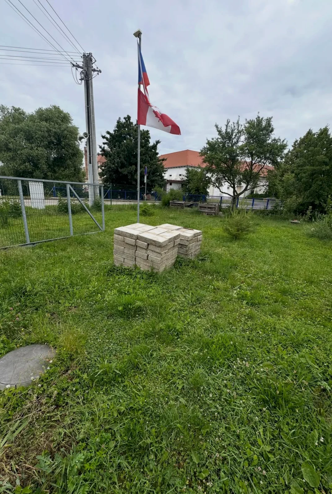 Sekání trávy a mulčování kolem ovocných keřů v Královopolských Vážanech — stav před úpravou