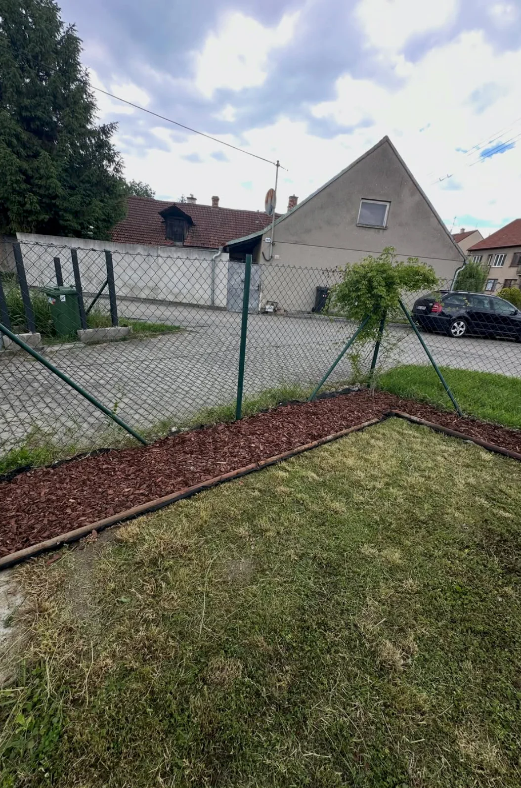 Zahradnické služby Královopolské Vážany — posečený trávník a mulčovací kůra kolem malin a rybízu (3)