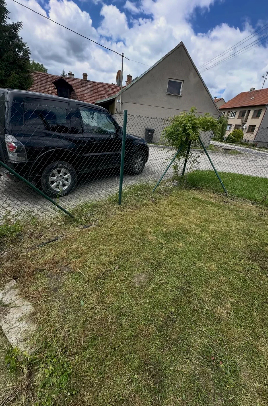 Sekání trávy a mulčování kolem ovocných keřů v Královopolských Vážanech — stav před úpravou (3)