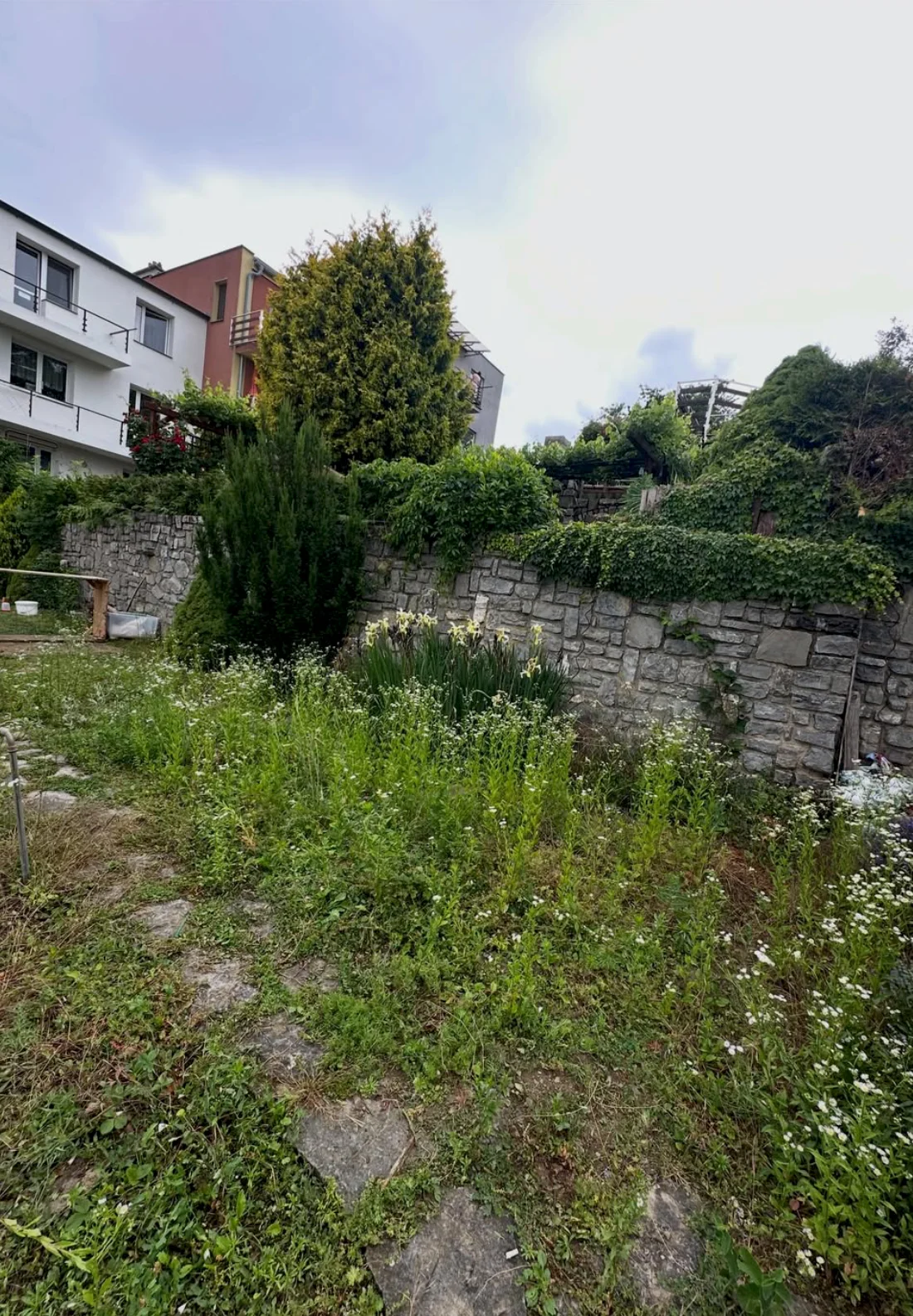 Zarostlá zahrada v Královopolských Vážanech — první údržba, stav před prací (3)