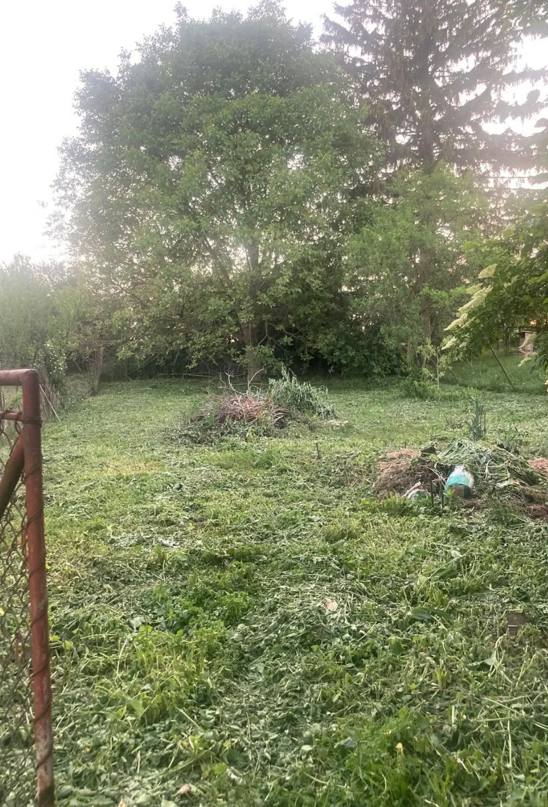 Proměna zahrady Královopolské Vážany — upravený trávník po zahradnických pracích