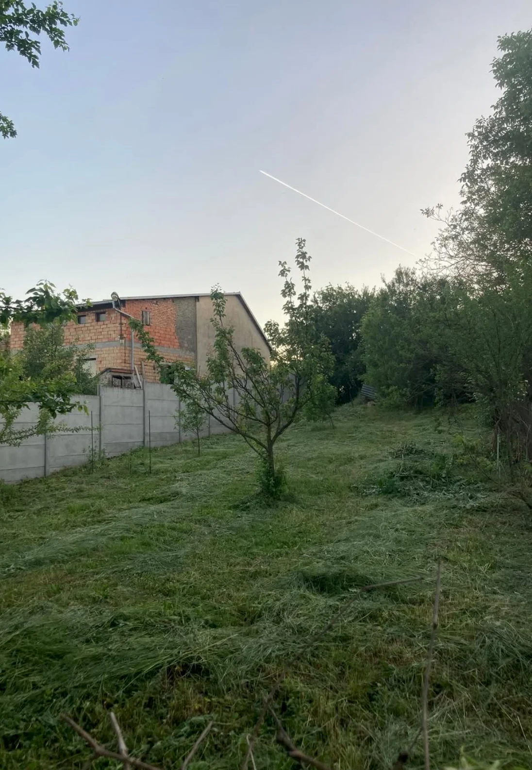 Proměna zahrady Královopolské Vážany — upravený trávník a čistý prostor po zahradnických pracích (2)