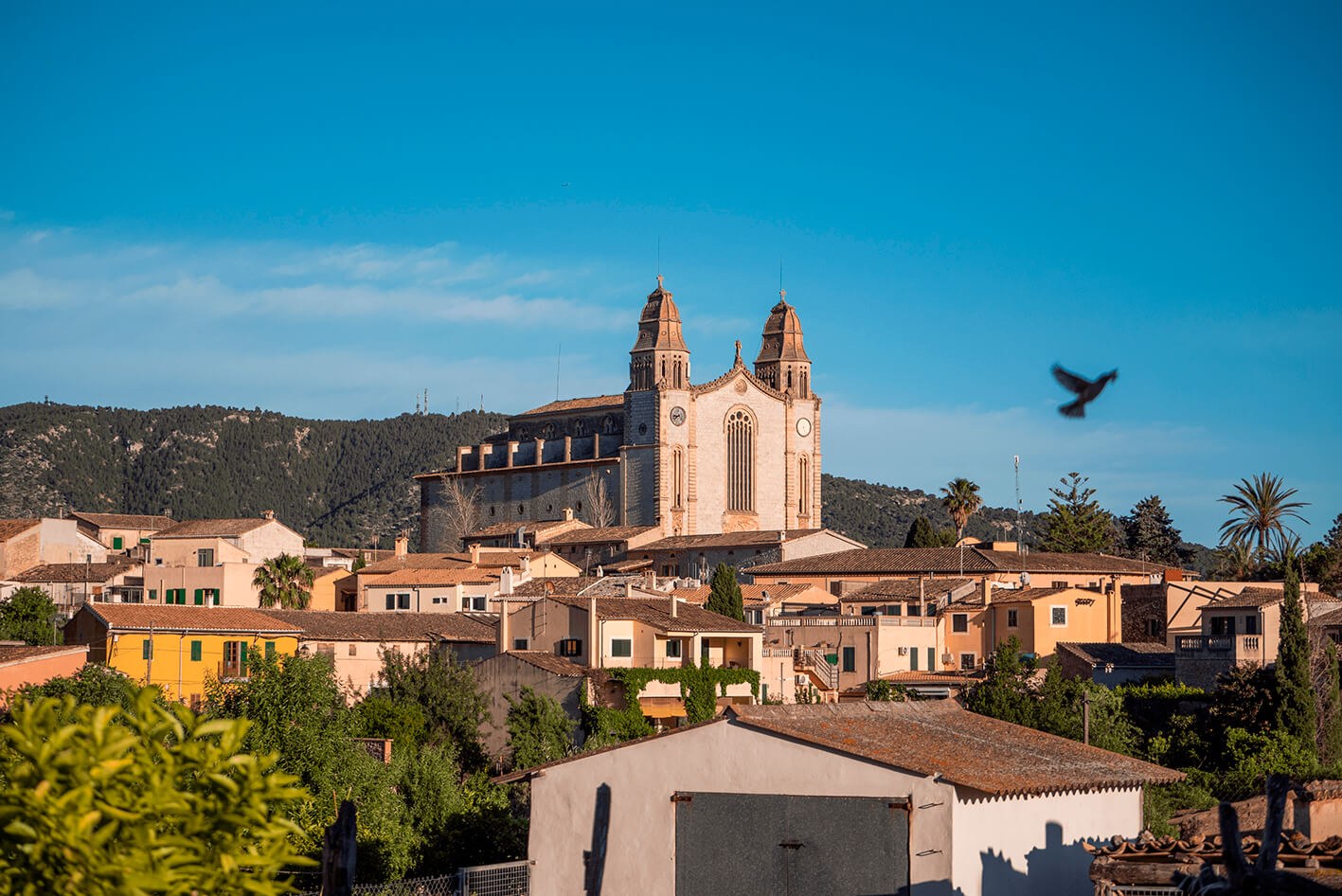 Calvia, Palma de Mallorca