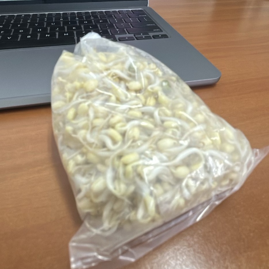 A Lunch on Makan