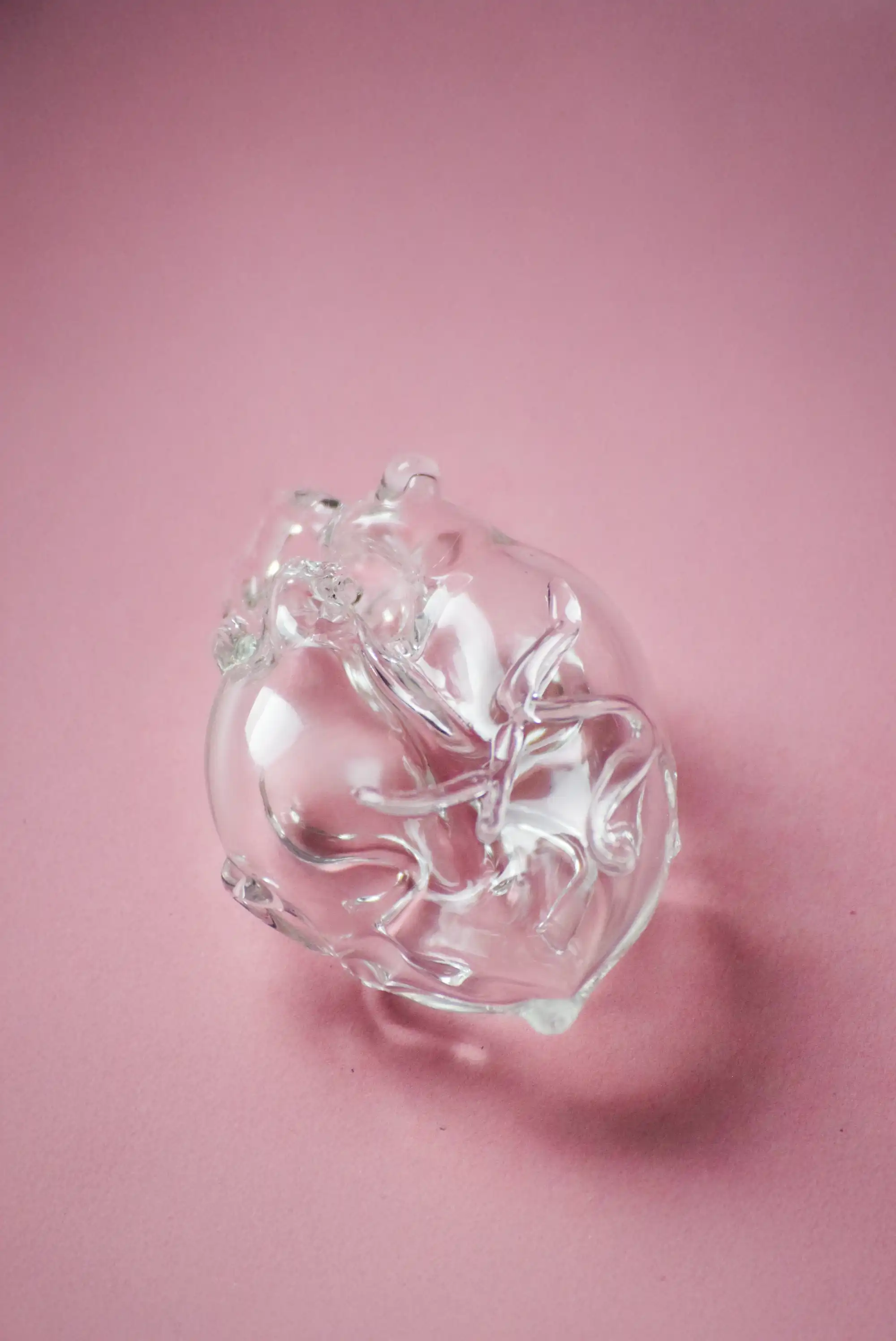 Heart Vessel  - Transparente