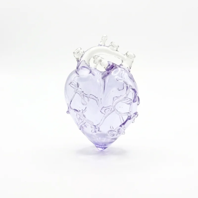 Heart Vessel  Morado