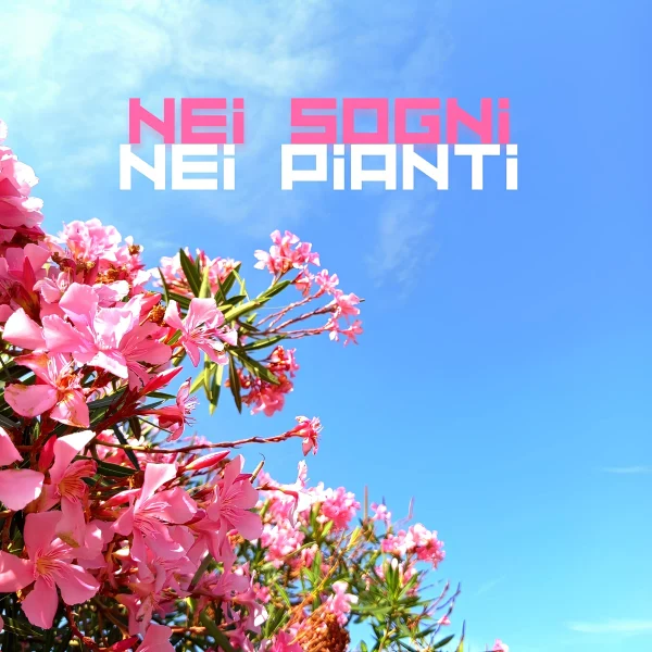 Copertina di Nei sogni nei pianti