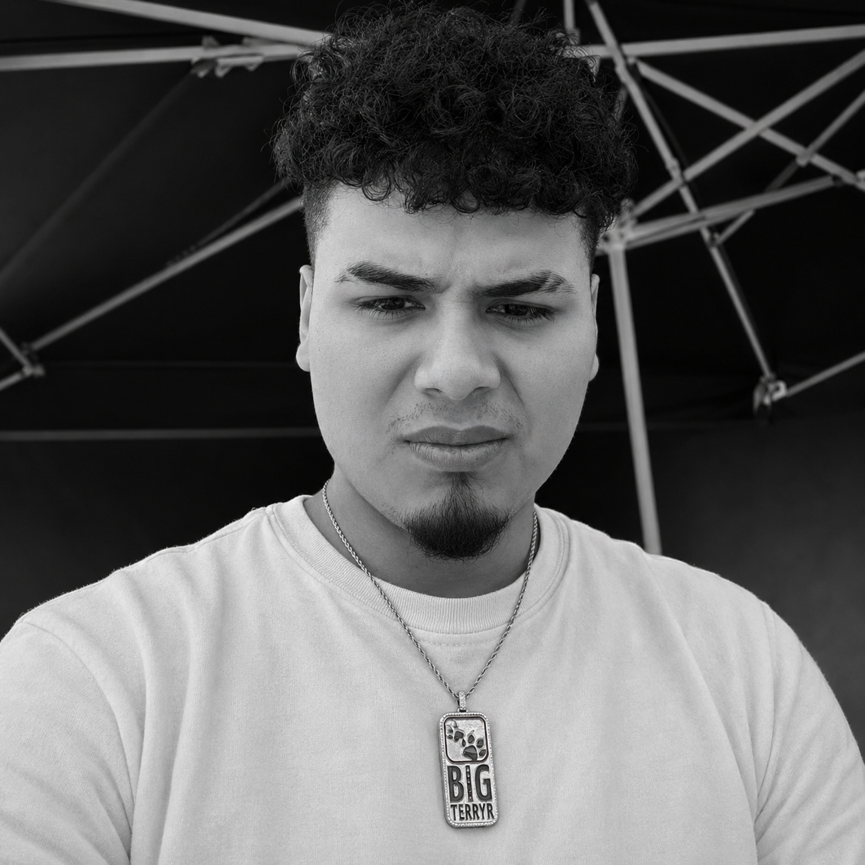 BigTerryR
