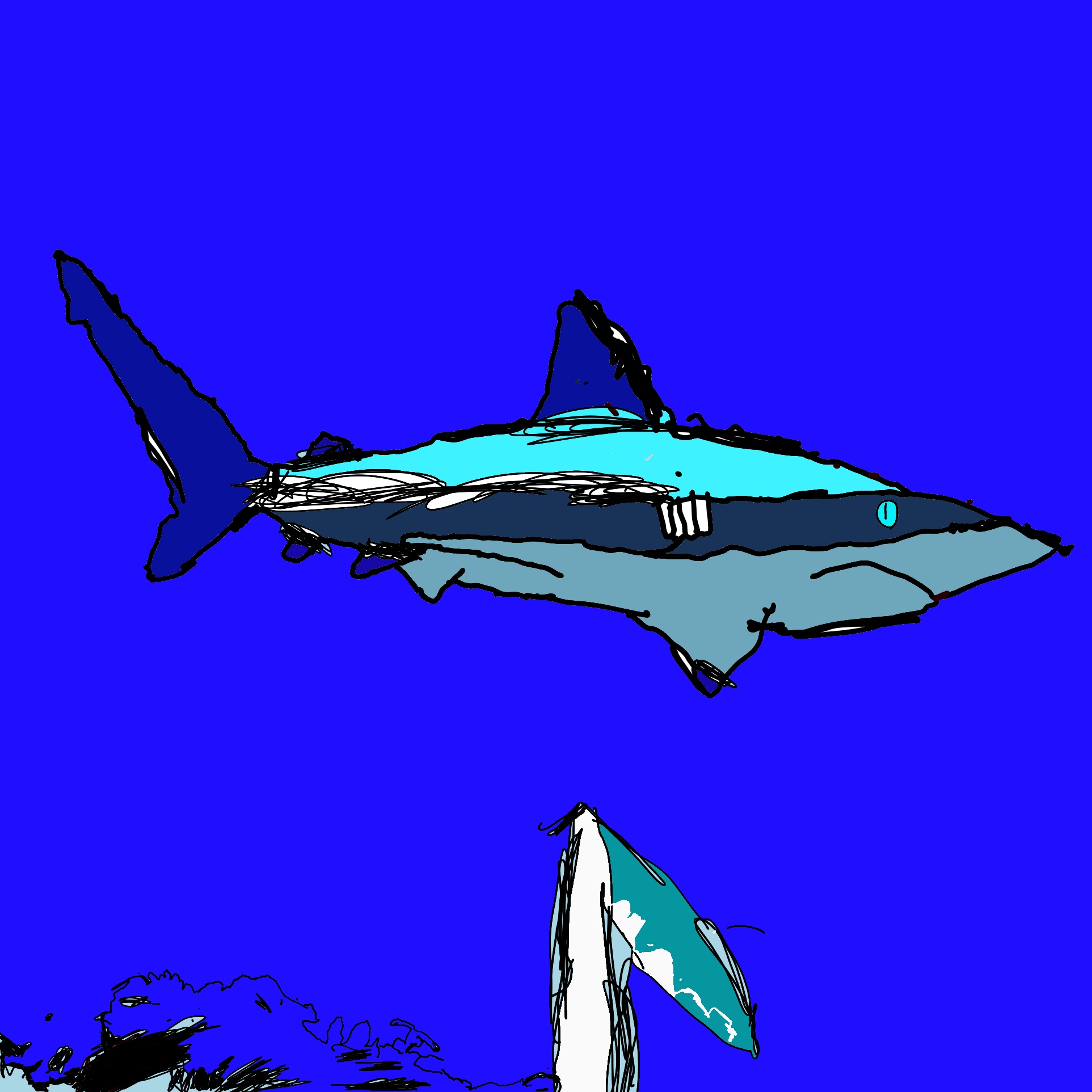 Shark