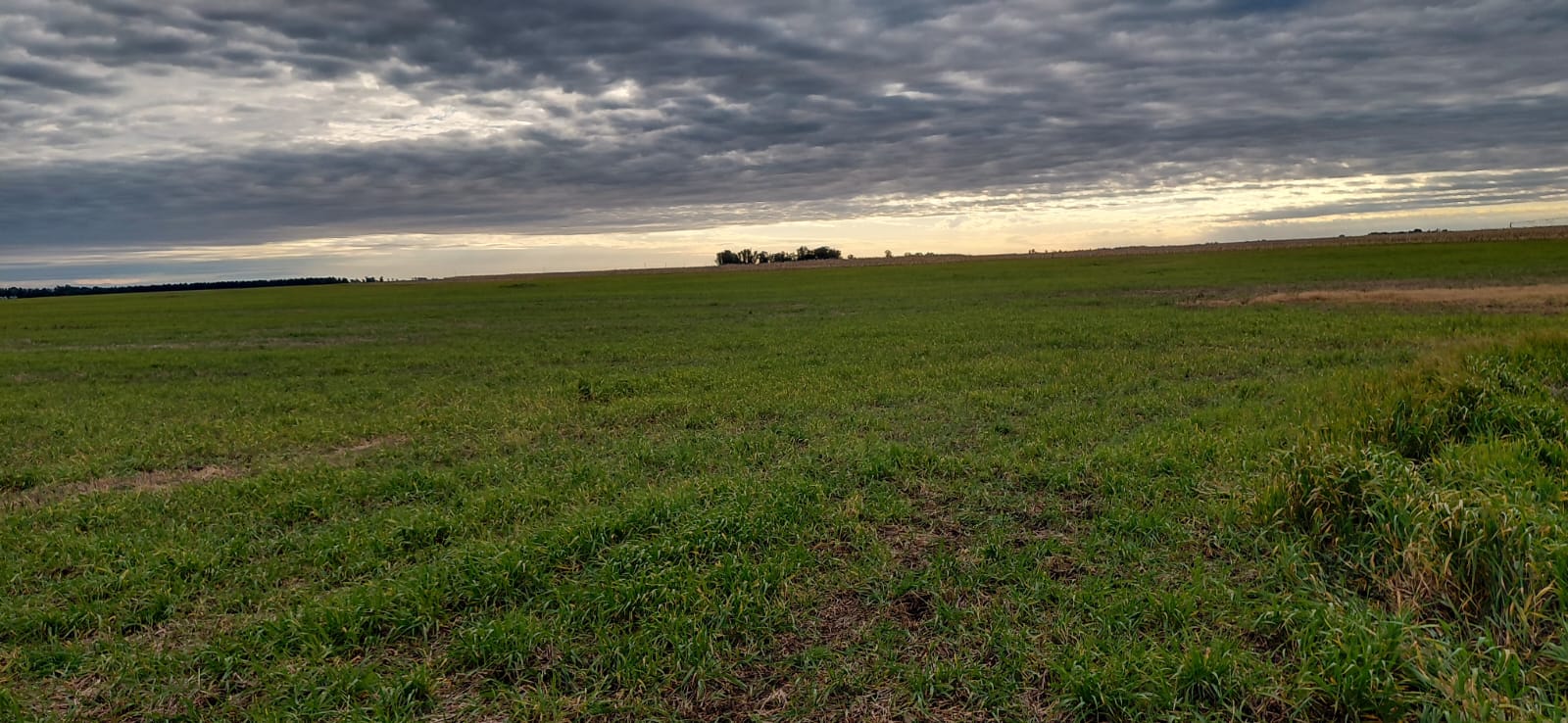 Quequen, Necochea