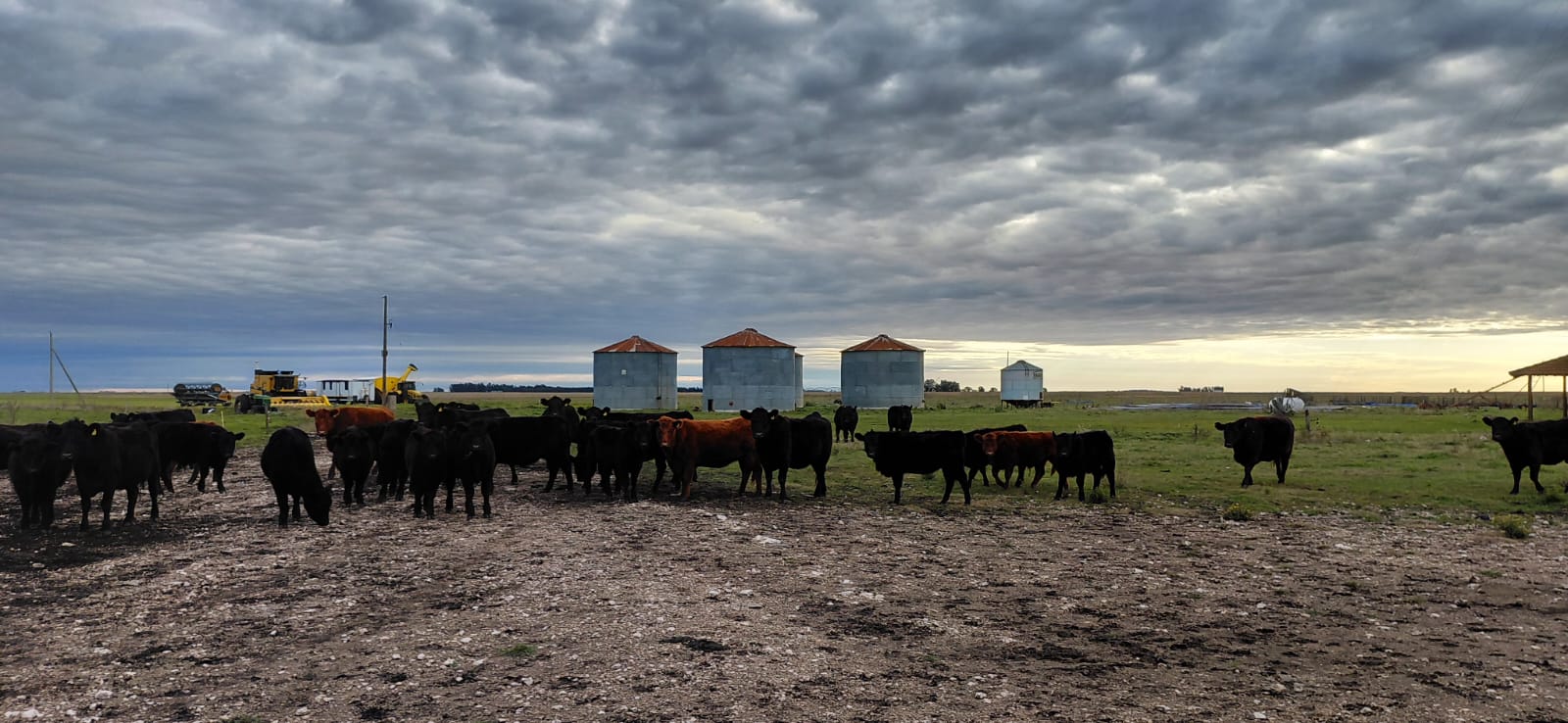Quequen, Necochea