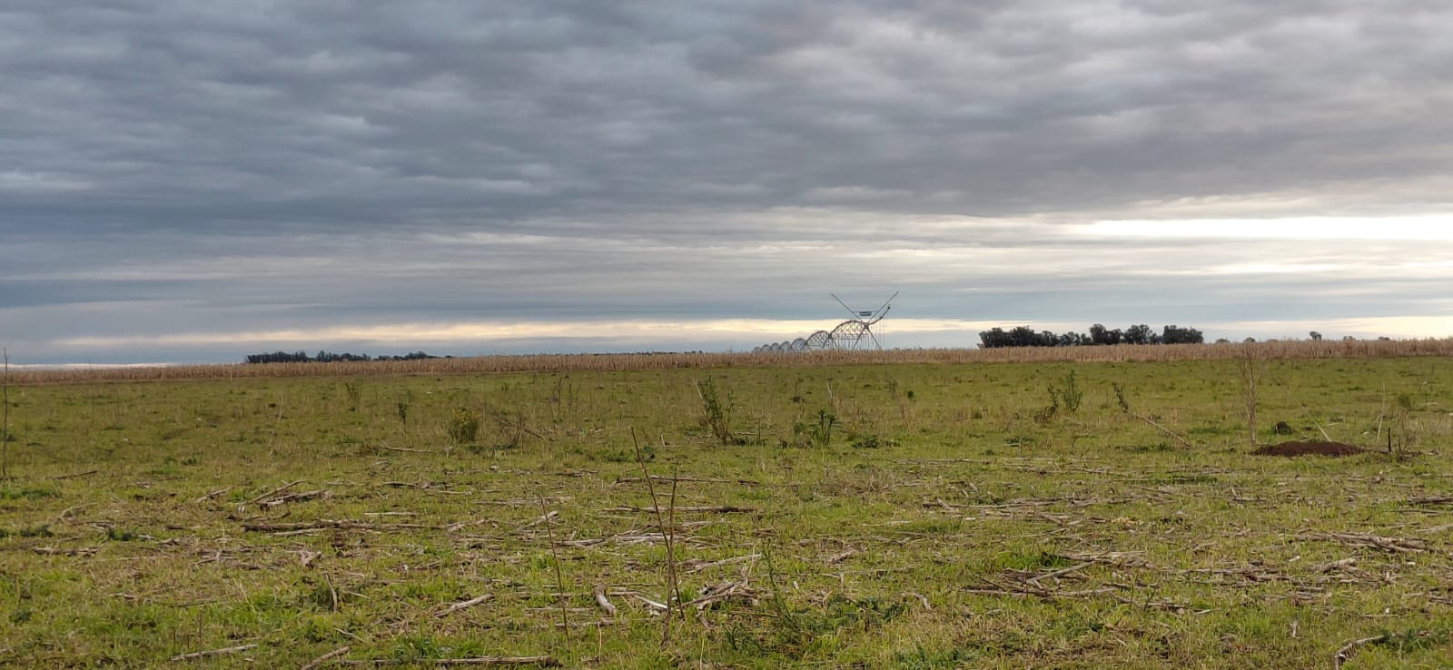 Quequen, Necochea