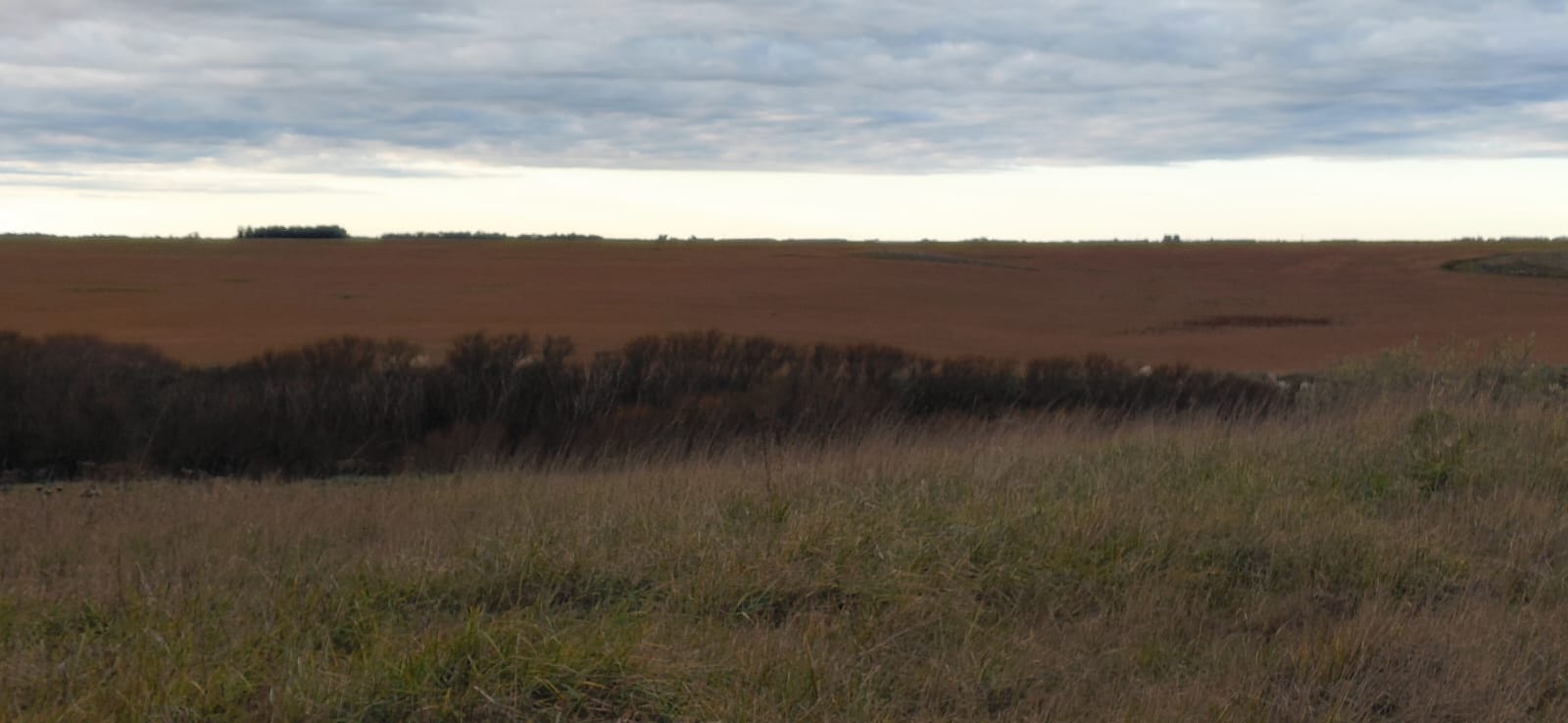 Quequen, Necochea
