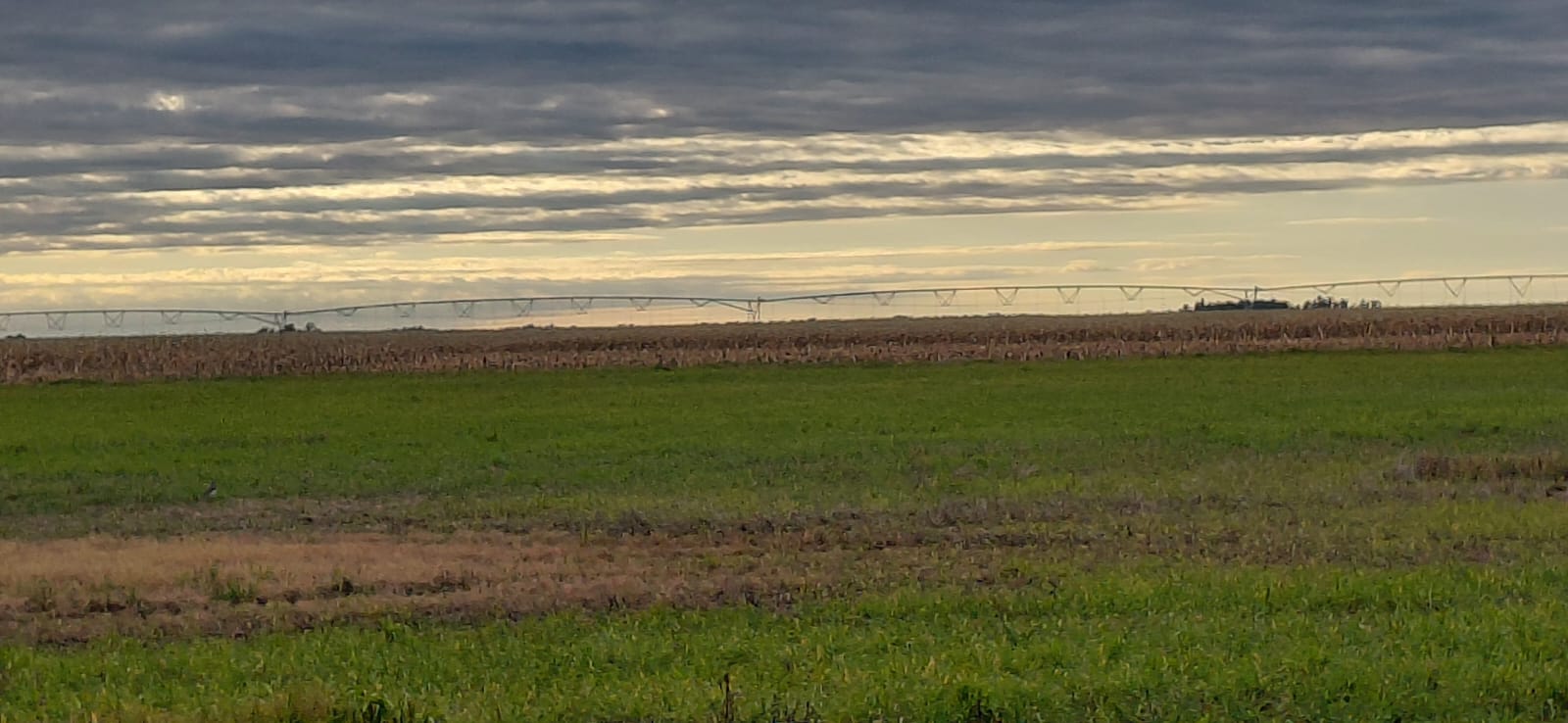 Quequen, Necochea
