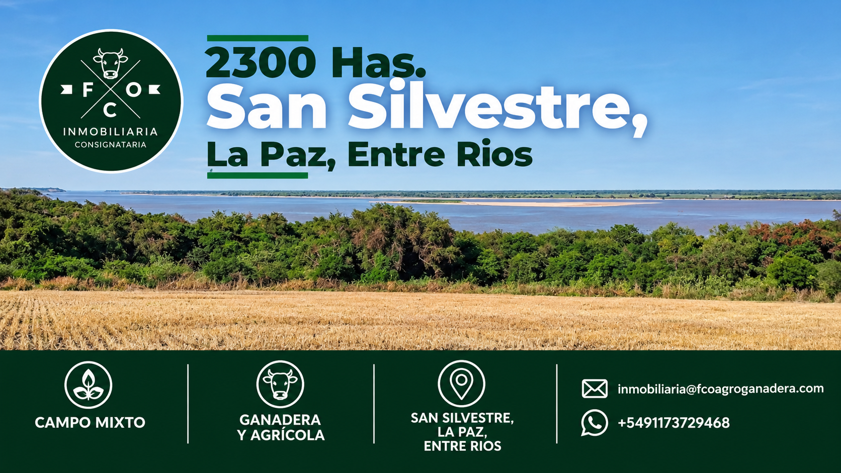 SAN SILVESTRE