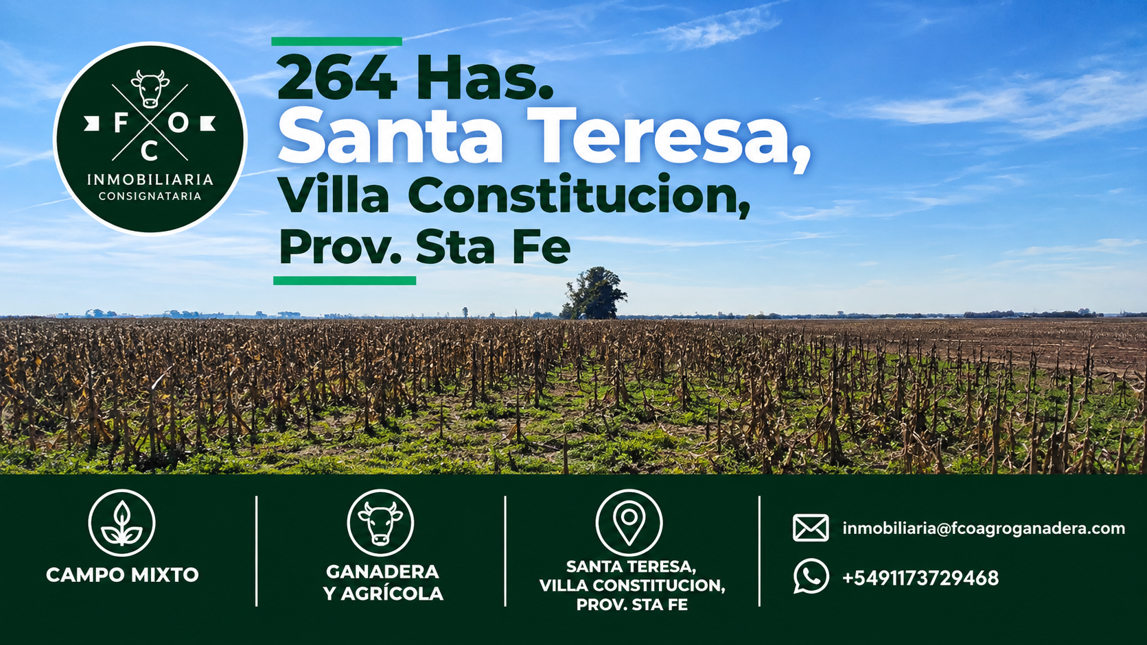 SANTA TERESA