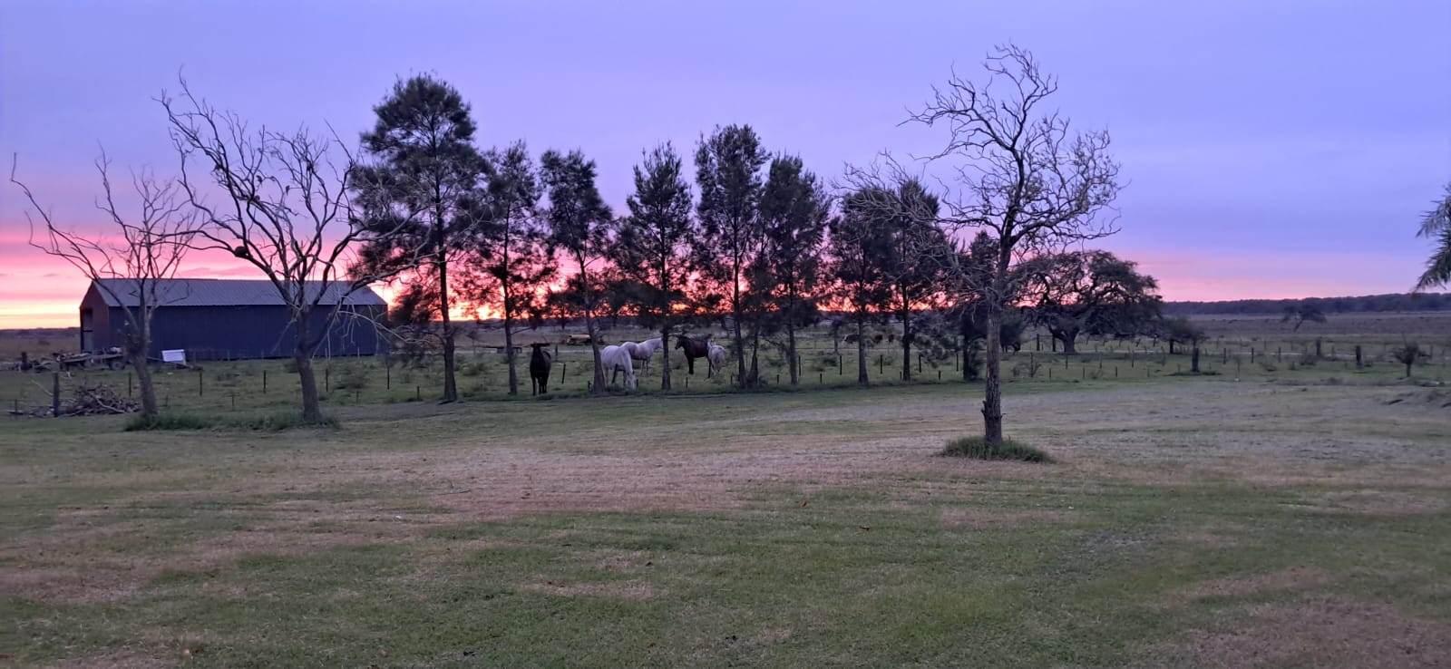 Gualeyguachu 1577 Has