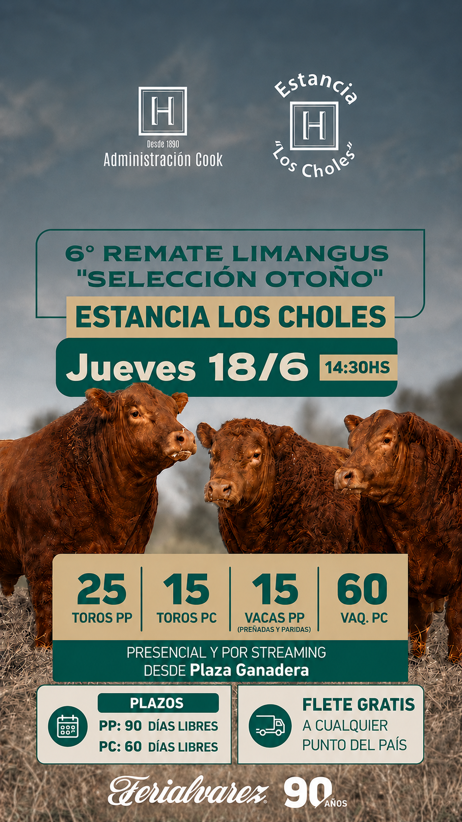 Limangus de Estancia Los Choles