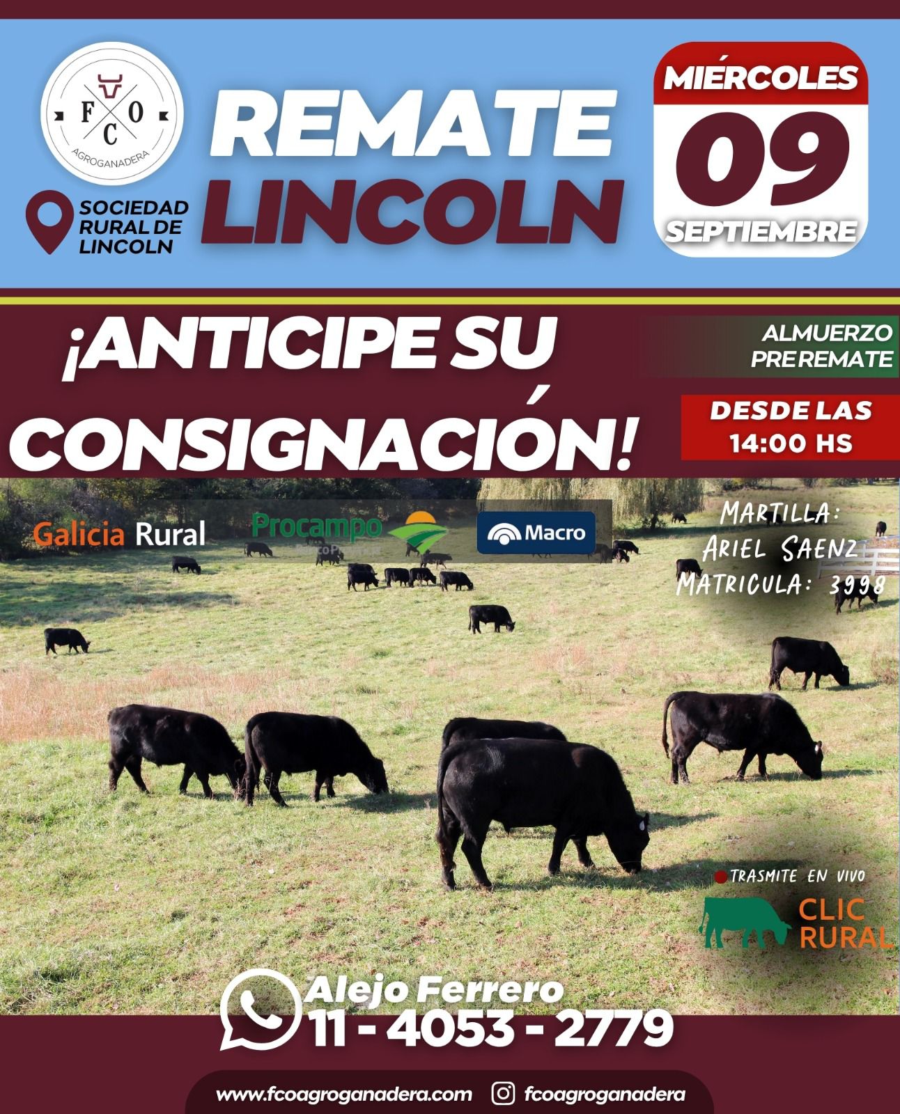 FERIA LINCOLN SEPTIEMBRE