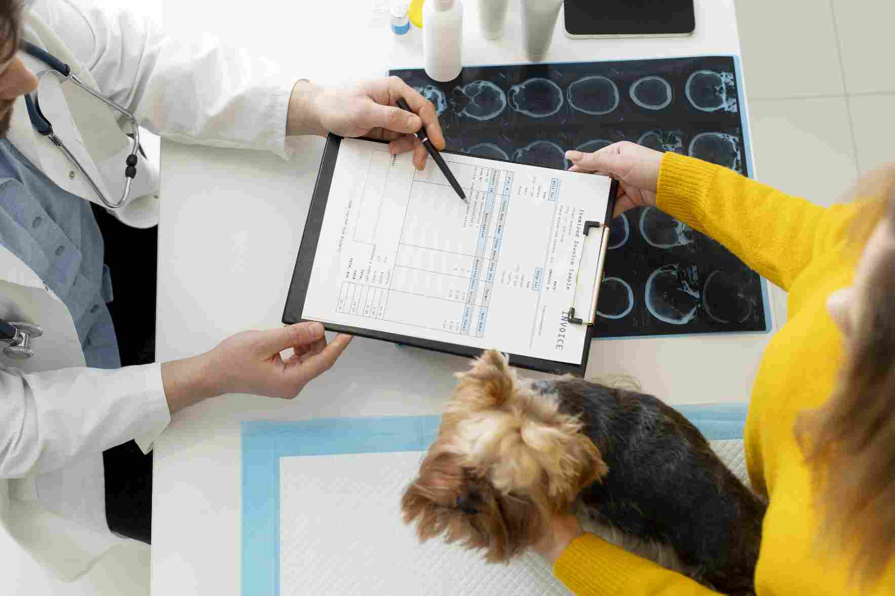 Dog grooming